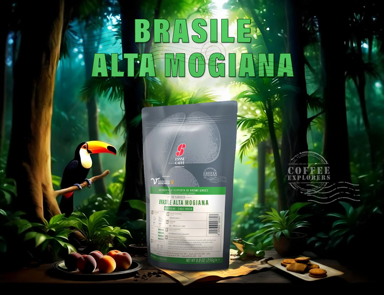 Кава у зернах Essse Caffe Brasile Alta Mogiana 250 г cb13 фото