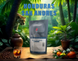 Кава у зернах Essse Caffe Honduras San Andres 250 г cb14 фото 2